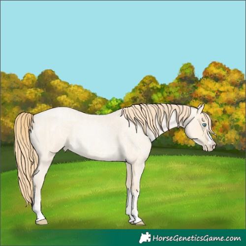Horse Color:Buckskin Roan Pearl  and Buckskin Roan Pearl 
