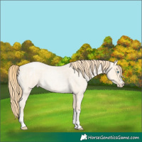 Horse Color:Buckskin Roan Pearl  and Buckskin Roan Pearl 