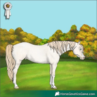Horse Color:Buckskin Roan Pearl and Buckskin Roan Pearl