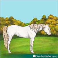 Horse Color:Buckskin Roan Pearl Dun  and Buckskin Roan Pearl Dun 