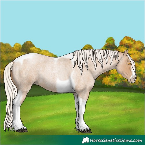 Horse Color:Silver Blue Roan Pearl Tobiano Frame