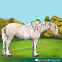 Horse Color:Silver Blue Roan Pearl Tobiano Frame 