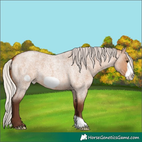 Horse Color:Silver Bay Roan Dun Frame 