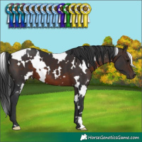 Horse Color:White Spotted Brown 