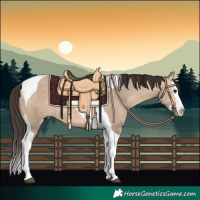 Horse Color:Bay Dun Splash Tobiano 