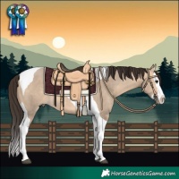Horse Color:Bay Dun Splash Tobiano