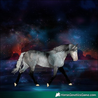Horse Color:Gray Void Silver Classic Champagne Ice Roan Tobiano Rabicano 