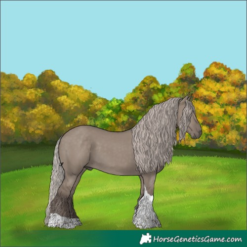 Horse Color:Silver Grullo Tobiano 