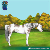 Horse Color:White Spotted Brown Dun Splash Frame Rabicano