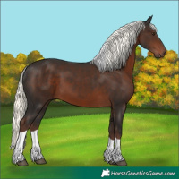 Horse Color:Liver Chestnut Mushroom Tobiano 