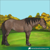 Horse Color:Liver Red Dun and Brown Dun