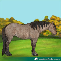 Horse Color:Liver Red Dun and Brown Dun
