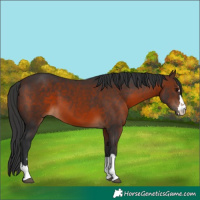Horse Color:Brown 