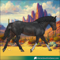 Horse Color:Brown Tobiano 