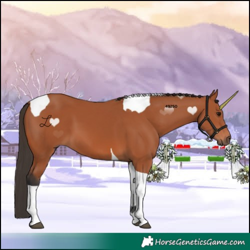 Horse Color:Bay Tobiano 
