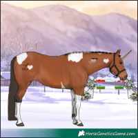 Horse Color:Bay Tobiano 