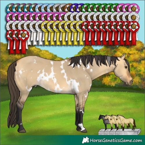 Horse Color:White Spotted Buckskin Dun 