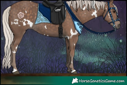 Horse Color:White Spotted Silver Black Rabicano
