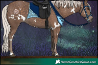 Horse Color:White Spotted Silver Black Rabicano 