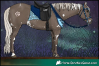 Horse Color:White Spotted Silver Black Rabicano 