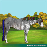 Horse Color:Painted White Spotted Brown Roan