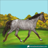 Horse Color:Liver Red Roan Snowflake Varnish 