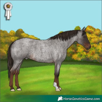 Horse Color:Liver Red Roan 