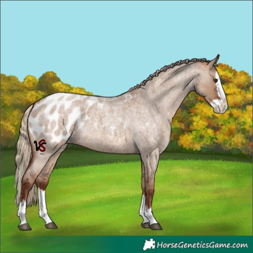 Horse Color:Unknown 