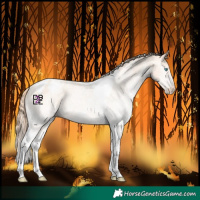 Horse Color:White Spotted Amber Champagne Pearl Tobiano Varnish 