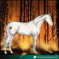 Horse Color:White Spotted Classic Champagne Pearl Varnish 
