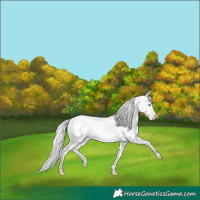 Horse Color:Silver Perlino Onyx Tobiano