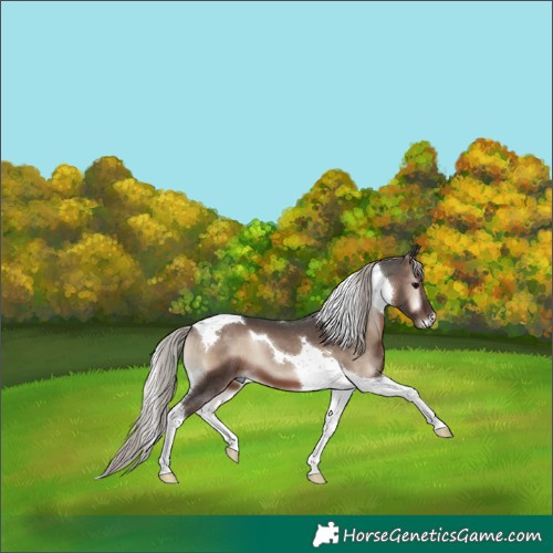 Horse Color:Silver Blue Onyx Tobiano 