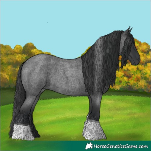 Horse Color:Blue Roan Tobiano 