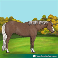 Horse Color:Silver Black 
