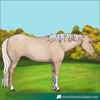 Horse Color:Silver Grullo Pearl Tobiano 