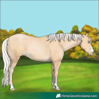 Horse Color:Silver Buckskin Pearl 