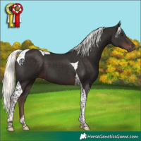 Horse Color:Liver Chestnut Mushroom Tobiano 