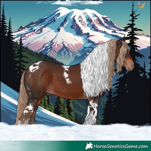 Horse Color:Liver Chestnut Sabino Tobiano 