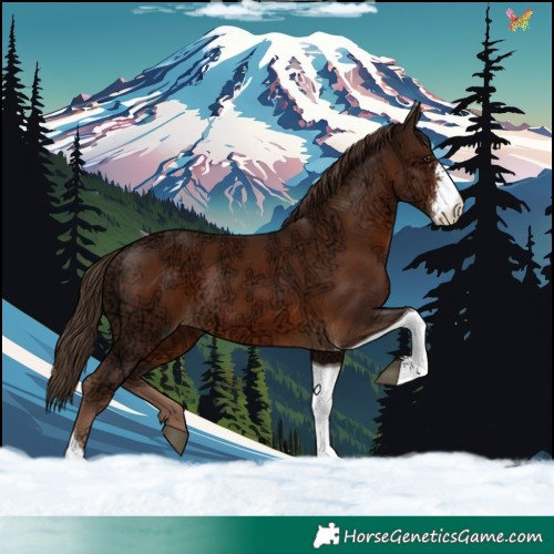 Horse Color:Liver Chestnut Ice Sabino Tobiano Rabicano 