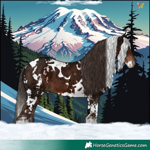 Horse Color:White Spotted Liver Chestnut Ice Tobiano 