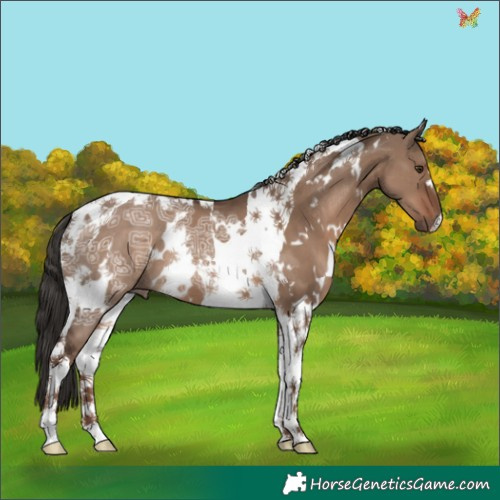 Horse Color:White Spotted Liver Red Dun Ice Tobiano 