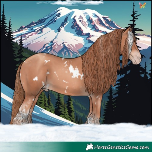 Horse Color:White Spotted Gold Champagne Tobiano 