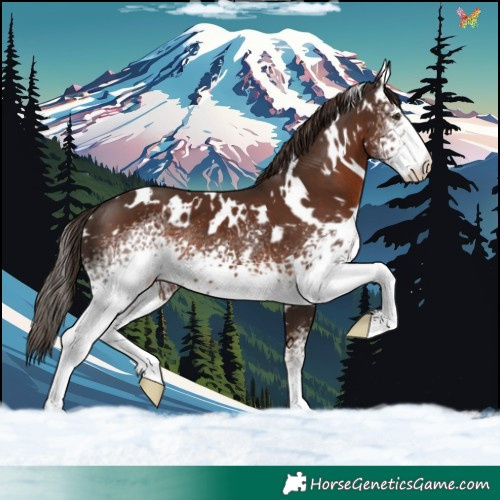 Horse Color:White Spotted Liver Chestnut 