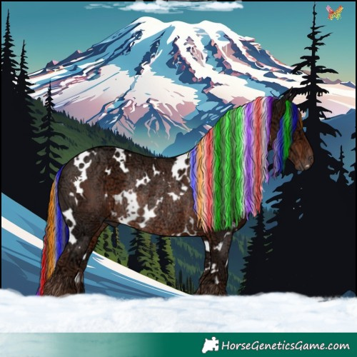Horse Color:Painted White Spotted Liver Chestnut Ice Rabicano 