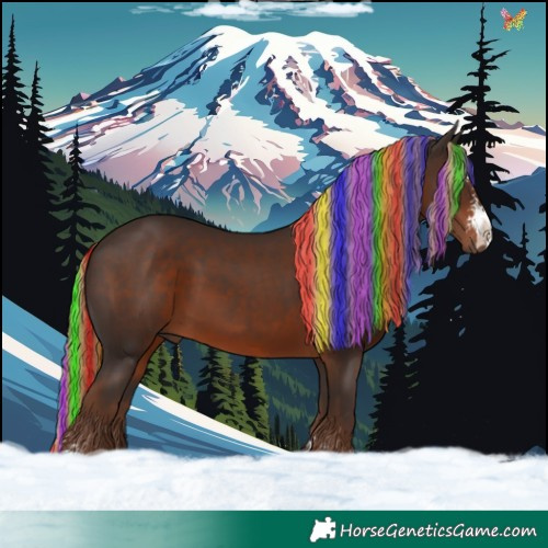 Horse Color:Painted Liver Chestnut Sabino 