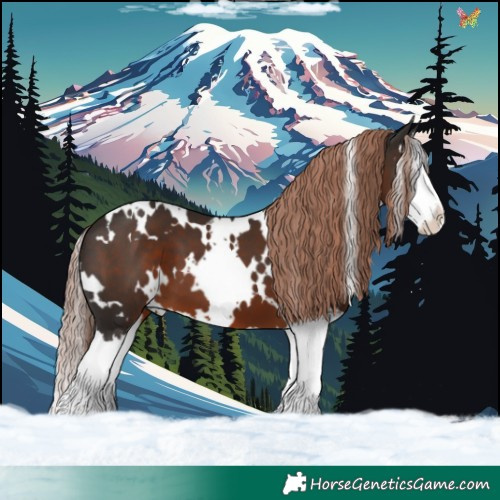 Horse Color:White Spotted Liver Chestnut Splash 