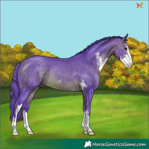 Horse Color:Watercolor Brown Sabino 