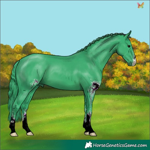 Horse Color:Watercolor Black Sabino 