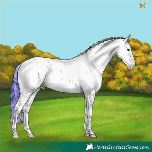 Horse Color:Watercolor Brown Sabino 