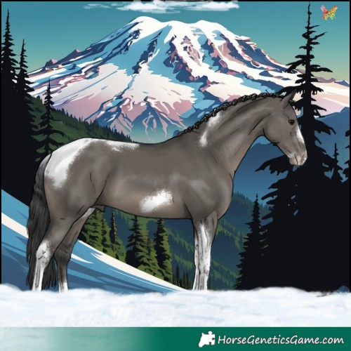 Horse Color:Grullo Tobiano Frame 